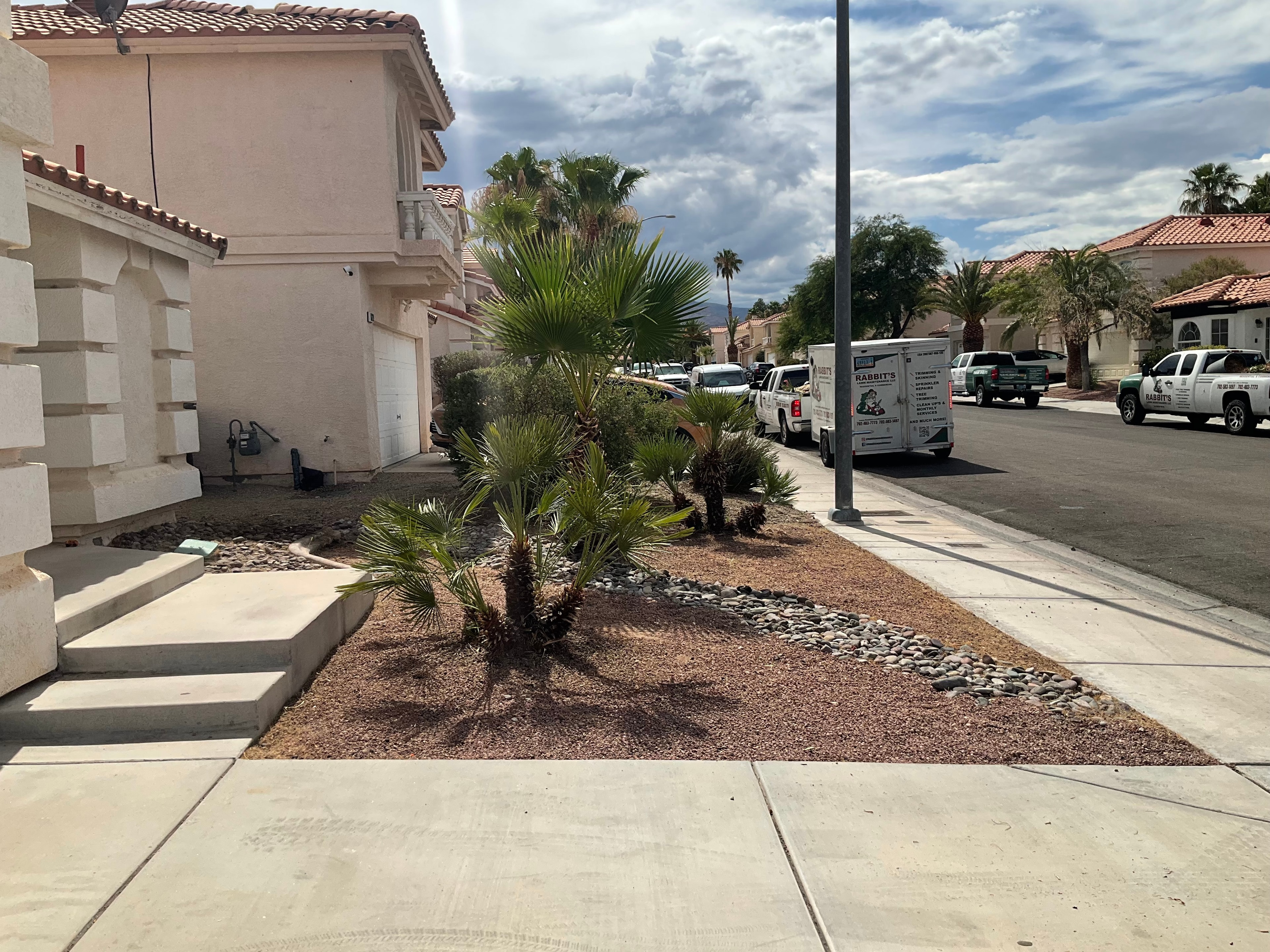 Desert Front Yard