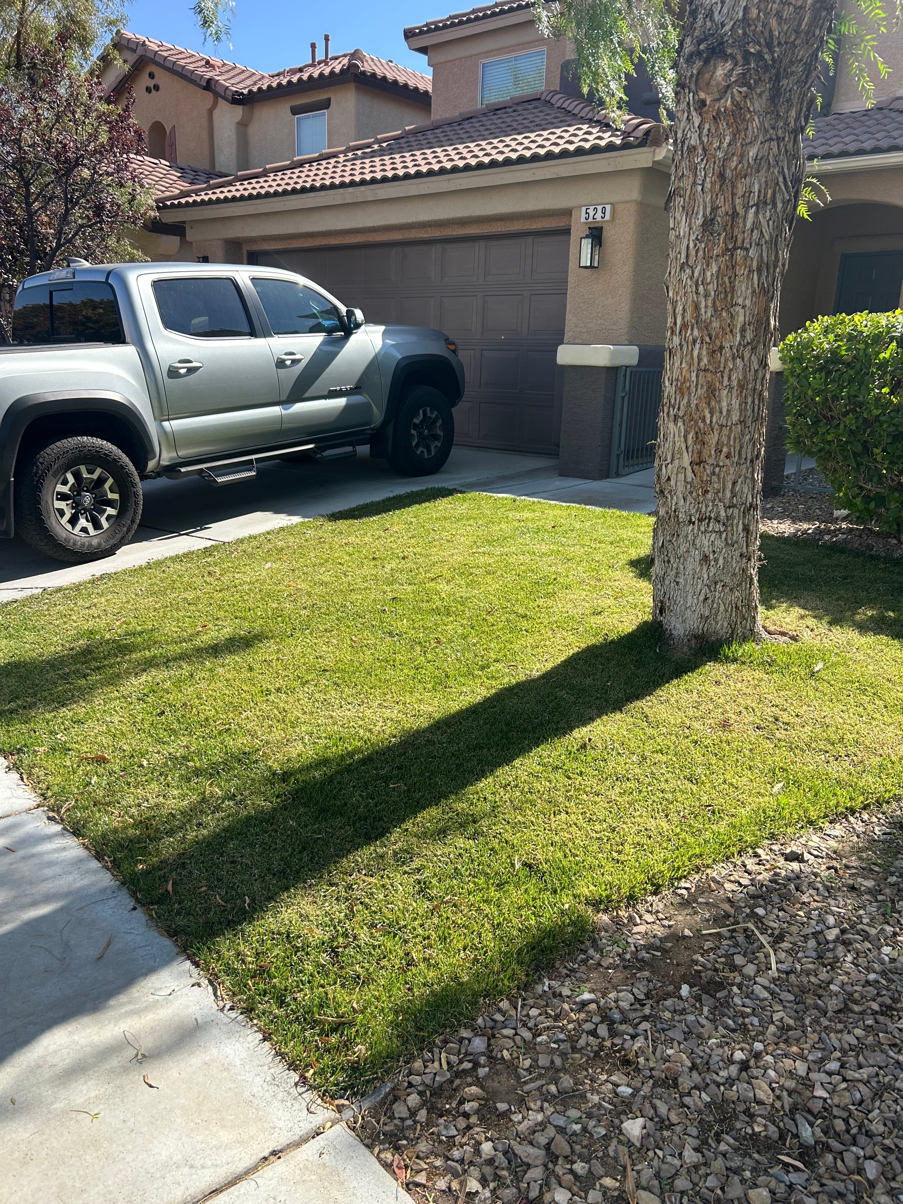 Lawn Mowing & Maintenance