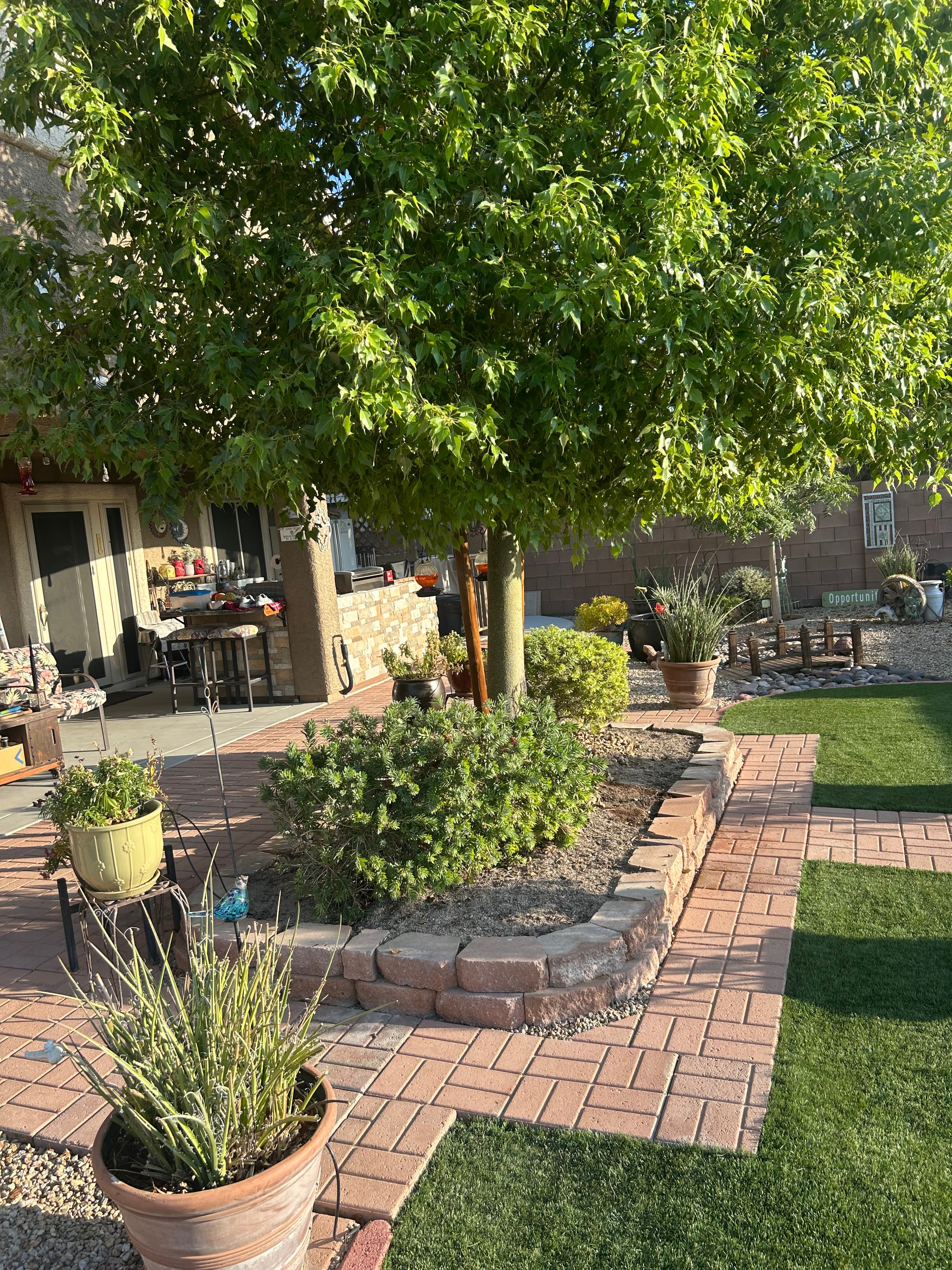 Courtyard & Lawn Care